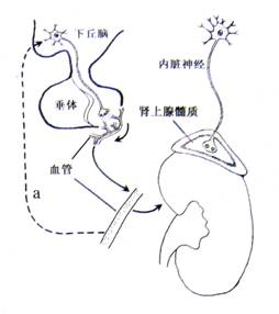 打扑克激烈 推荐视频