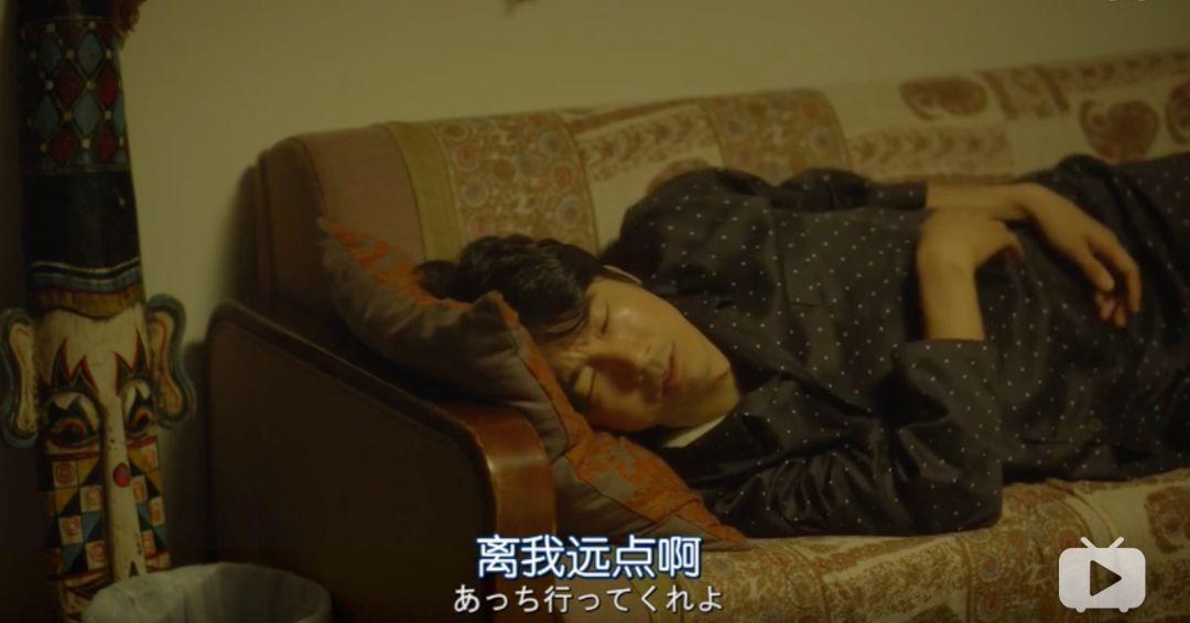 啄木鸟 秘书 相关产品