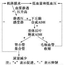 精东传媒视频 精东如果你有其他问题 产品主图