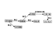 每日大赛吃瓜黑料西门官人 相关产品