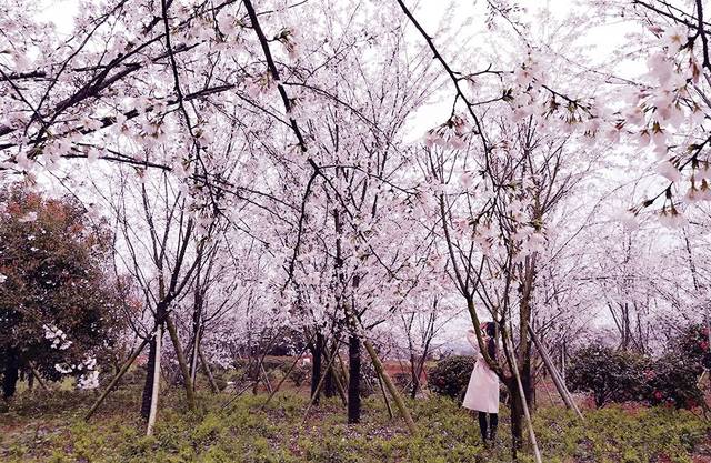 国产精品一区久久99果冻传媒 相关产品