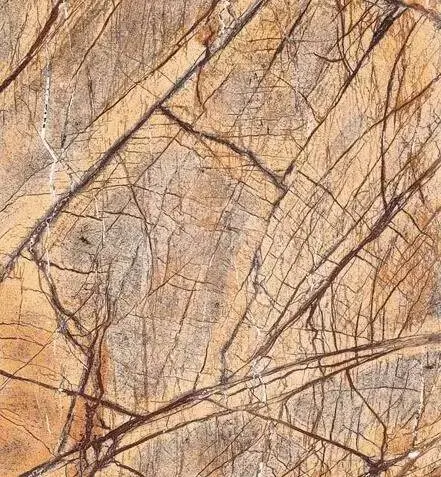 低下层 产品图片