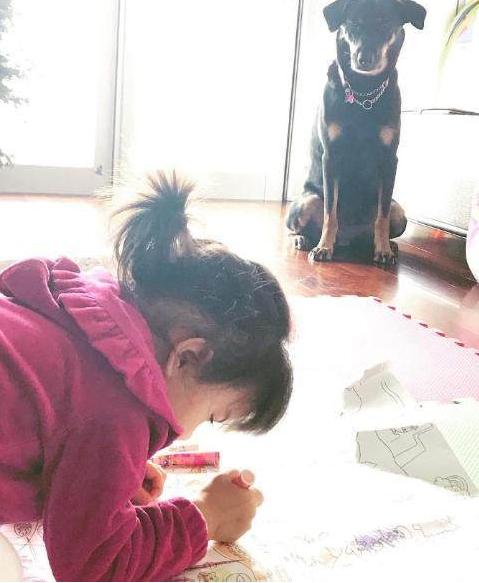 青春盛宴 相关产品