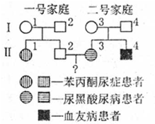 娱乐圈接下来的瓜 相关产品