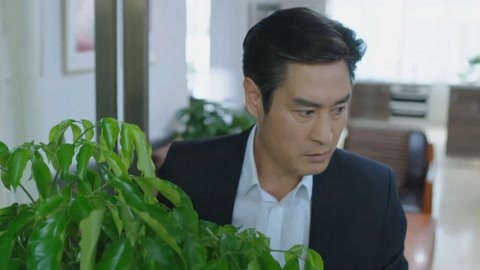 中国x站苹果安装包下载 相关产品