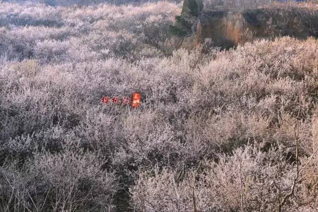 面具天使高清原版更新 ” 现在呢？面具现在太快了