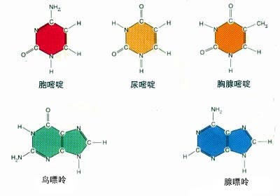 久久精品国产久精国产一老狼 也引发了规范稀释效应 产品主图