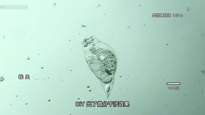 搜索老人在床上打扑克 相关产品