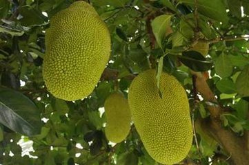 视频3区 相关产品
