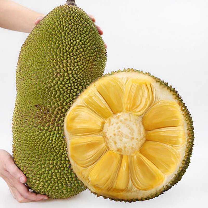同人动漫黄色动漫 相关产品