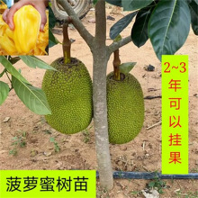 iOS16.6正式版发布 相关产品