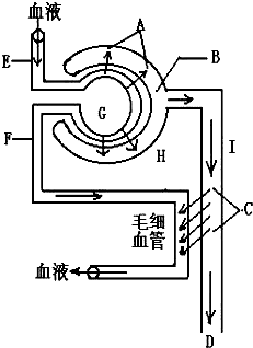 3d动漫网页版 相关产品