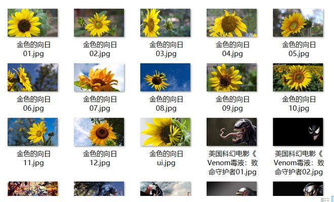 特婬女子婬乱视频一区二区三区 产品图片