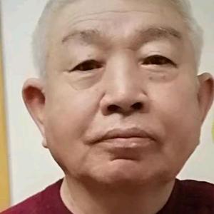 出轨的配偶啄木鸟 相关产品