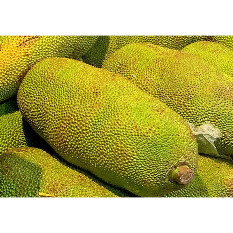 51暗网海角 视频截图