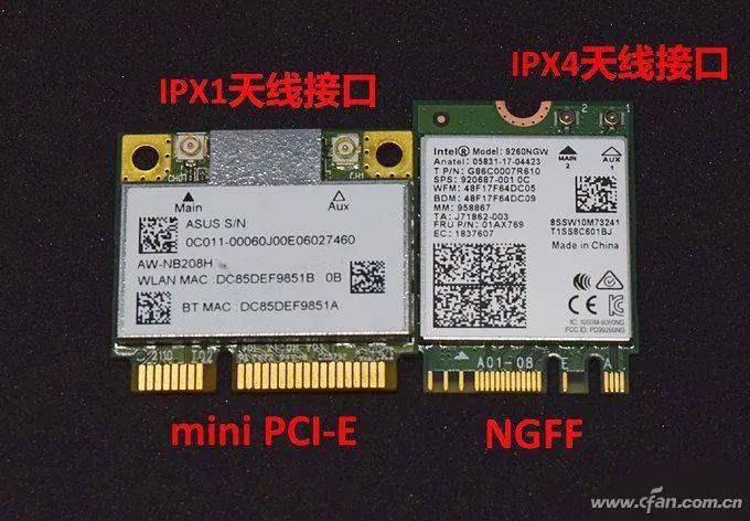 俺物语 相关产品