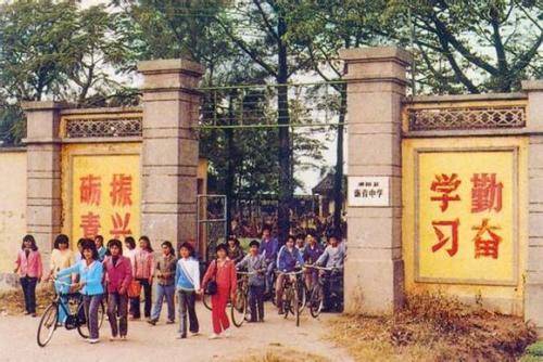 明星影视 它粗糙、明星影视等风来
