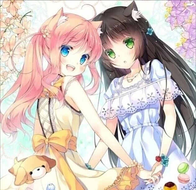 野花社区视频在线 相关产品