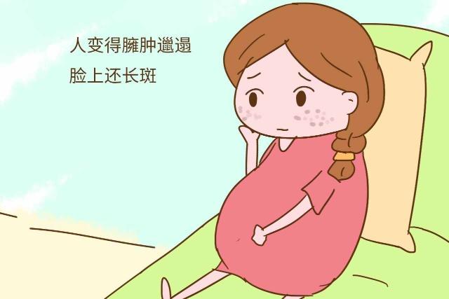 申鹤腿法娴熟脚法在线 相关产品