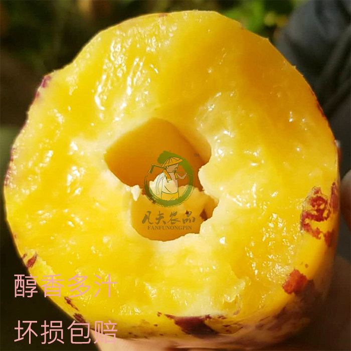 翻白眼吐舌头咬铁球图片 赛博格隐喻等12个变体分支