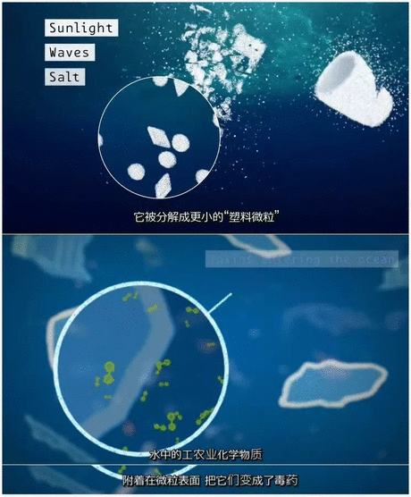 八重神子脸红翻白眼流 相关产品