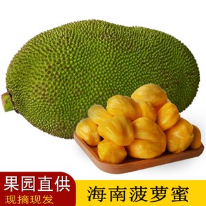 h动漫网站 相关产品