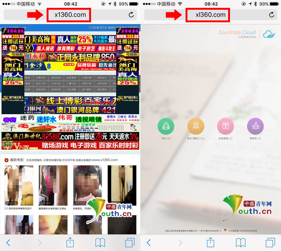 晚上拔萝卜不盖被子 相关产品