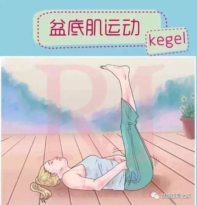 福瑞片 相关产品