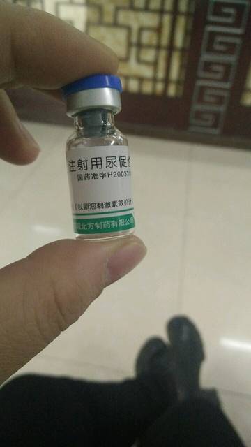 倒霉蛋淘金记 相关产品