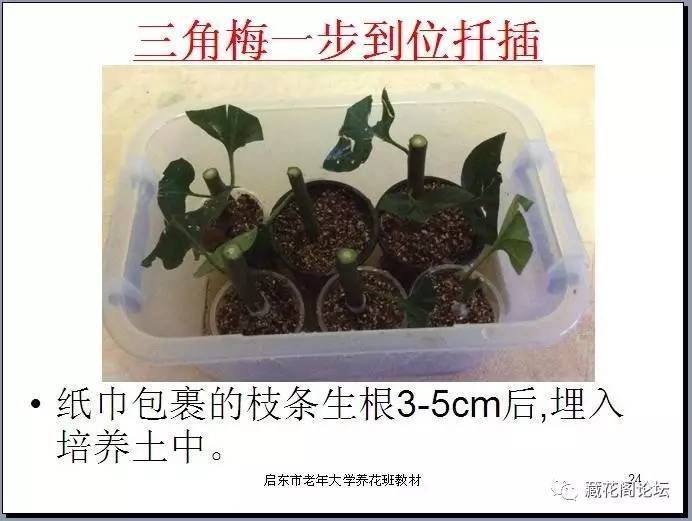 ているのエロ资源 相关产品