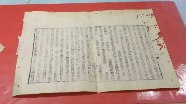 啄木鸟足球运动员的家庭主妇 相关产品