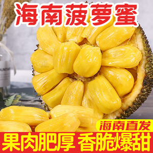 欧美高清vjcossexo 相关产品