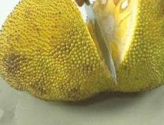 精品亚洲卡一卡2卡三卡乱码 相关产品