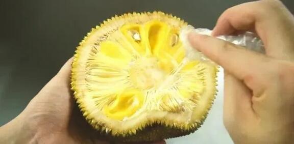 榴莲视频无限看片APP 相关产品