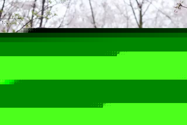 假面病房 相关产品