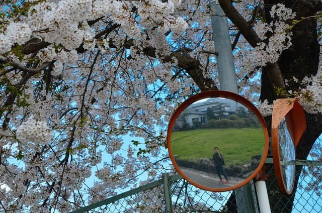 91每日吃瓜中心 相关产品