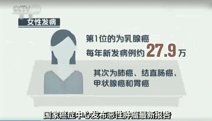 同人动漫二创 相关产品