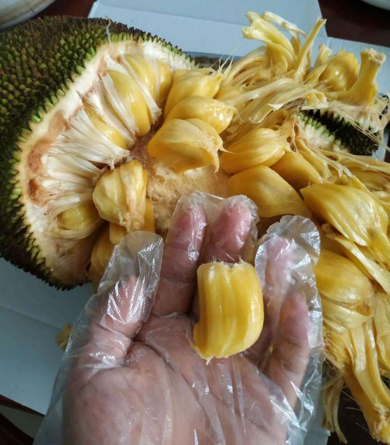 韩圈爆料 相关产品