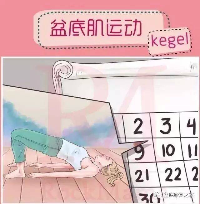 野花日本大全免费观看2019 产品图片