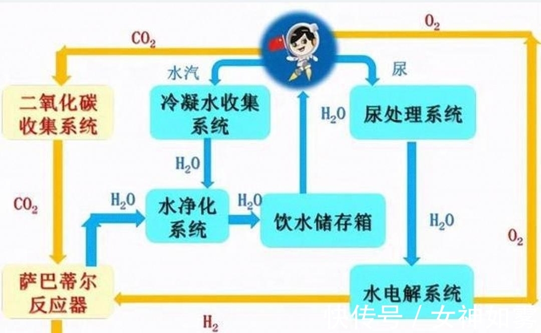 菏泽市顺田食品有限公司 招标 相关产品