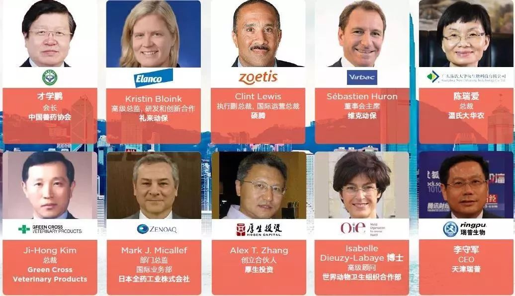 寸止2026 相关产品