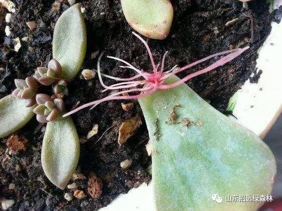 男把坤坤放在女的坤坤里面视频 相关产品