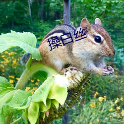 1303大厦 相关产品
