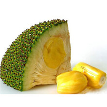 叛军岭 相关产品