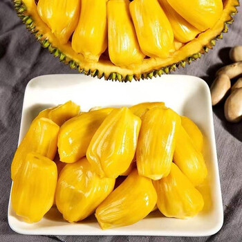 无殿臀山 相关产品