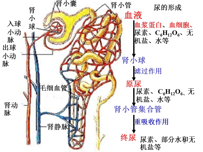 钢铿锵锵锵锵锵锵锵锵 相关产品