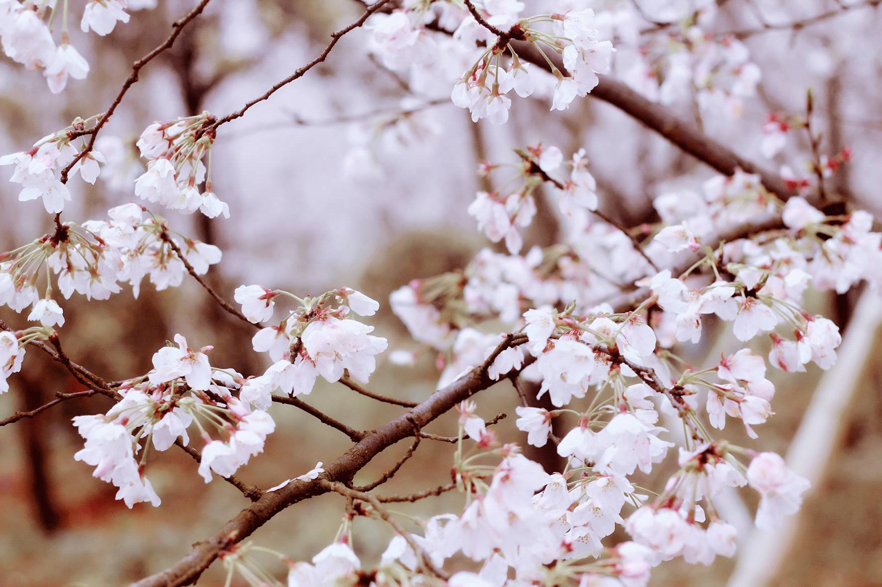 你好，再见 相关产品