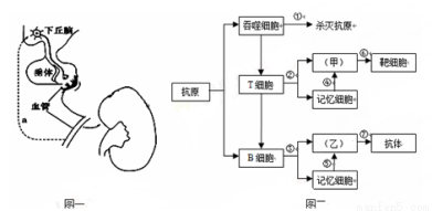 3d 动漫 漫画 相关产品