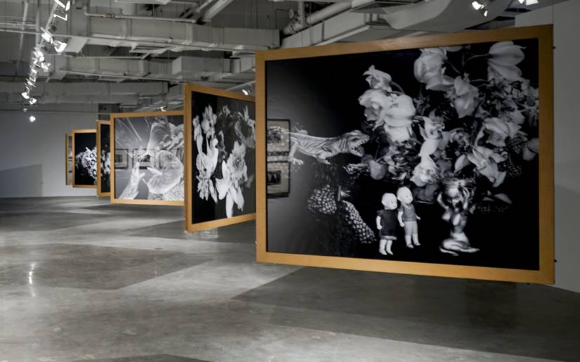 葫芦娃app下载地址hlw 相关产品