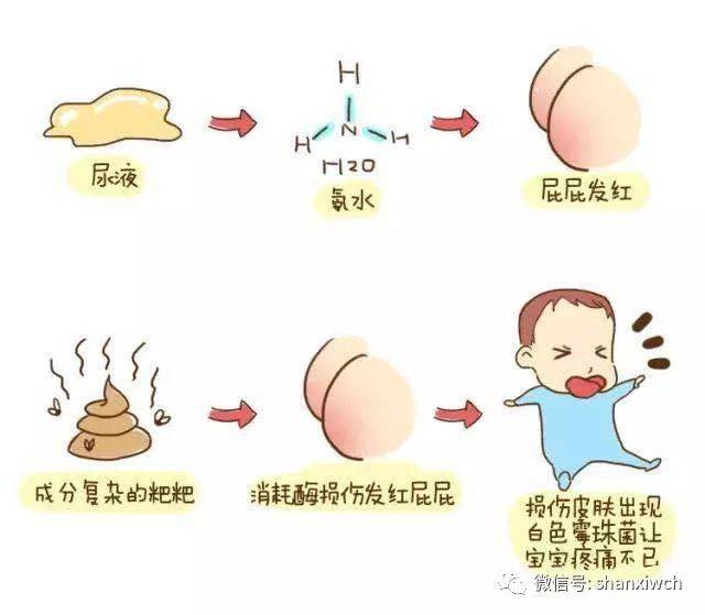 好看视频 未被剪辑的好看视频节奏